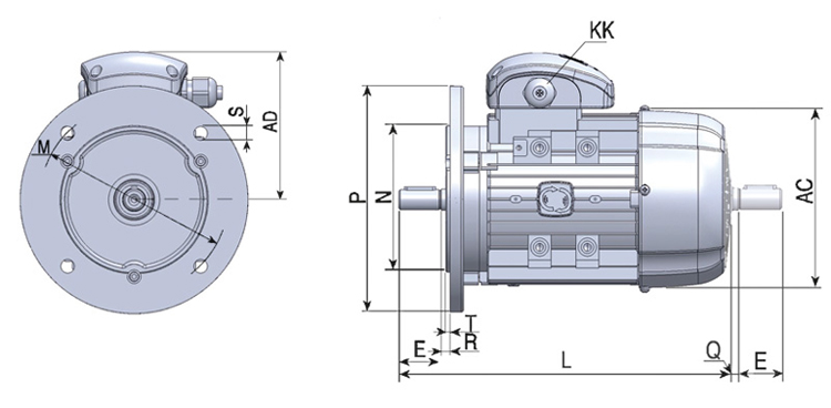 motore B5